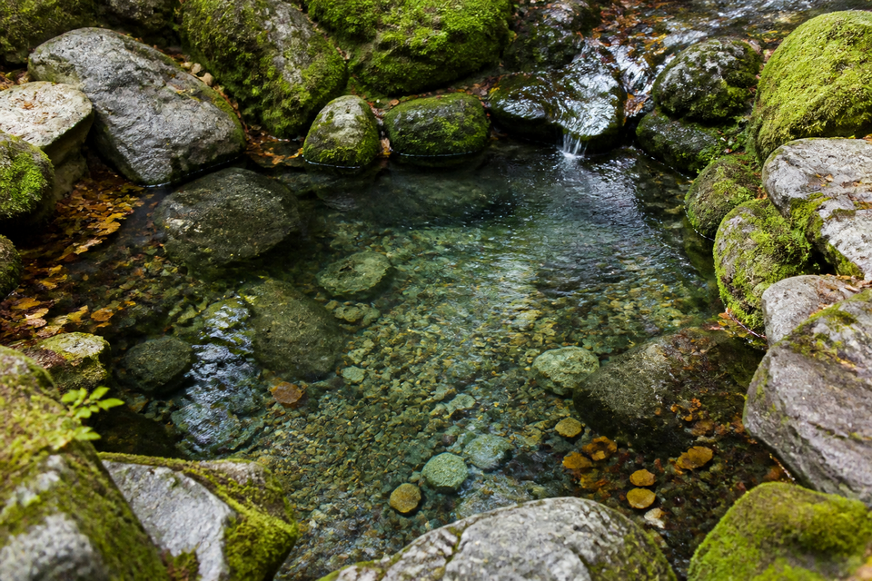 Stilisierte Darstellung: Quellbecken von oben, klares Wasser
