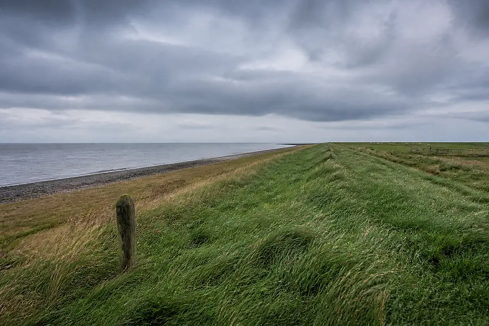 Leerer grüner Deich zur Nordsee, zwei Schafe in der Ferne