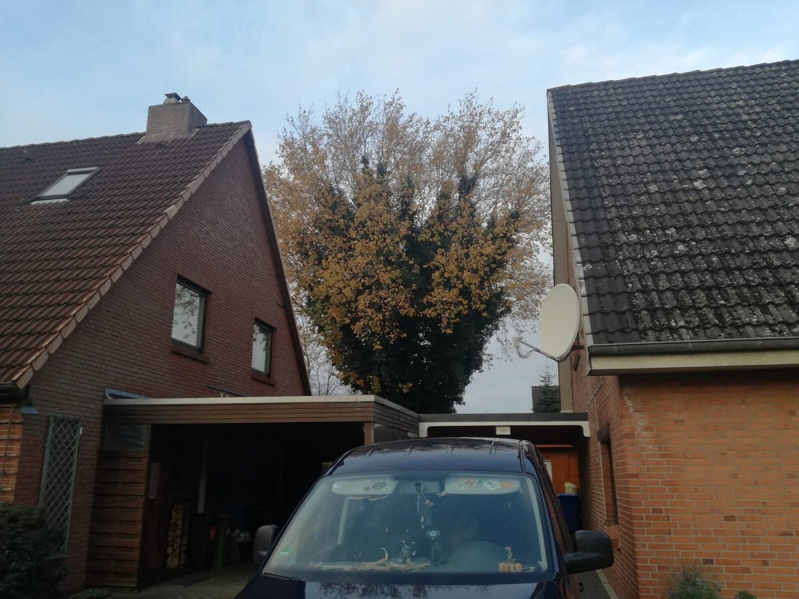Vorher