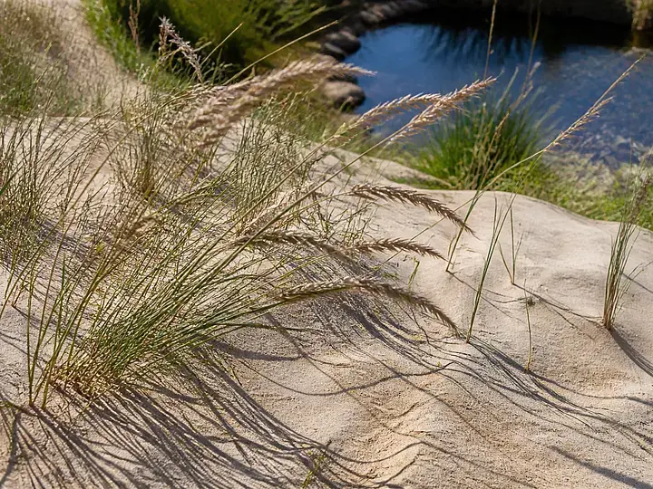 Düne und Strandkorb am Gartenteich