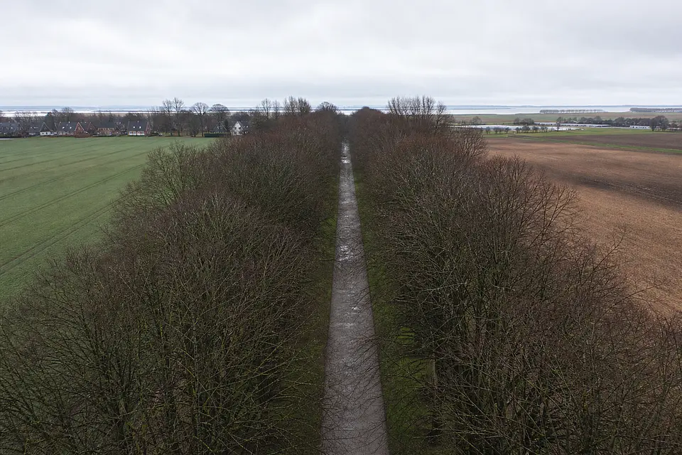 Luftaufnahme der Lindenallee in Husum im März, bedeckt und nass